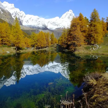 Hellochalet - The Family Crest - Cervinia With Balcony E Mountain Views 아파트